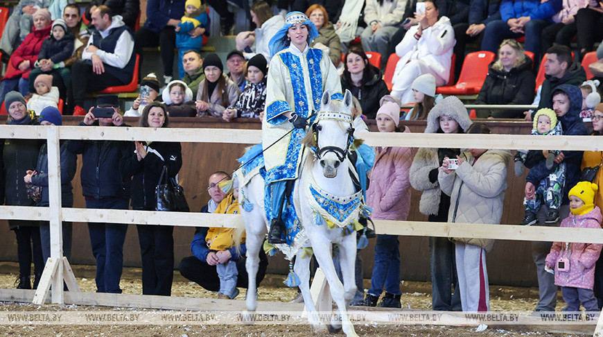 У Магілёўскім раёне прайшла міжнародная выстаўка-шоу пародзістых коней "Восень-2025"