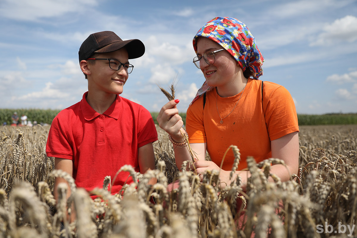 100 hectares in a few days. How pupils of the Vyšov school work in the summer in the local economy