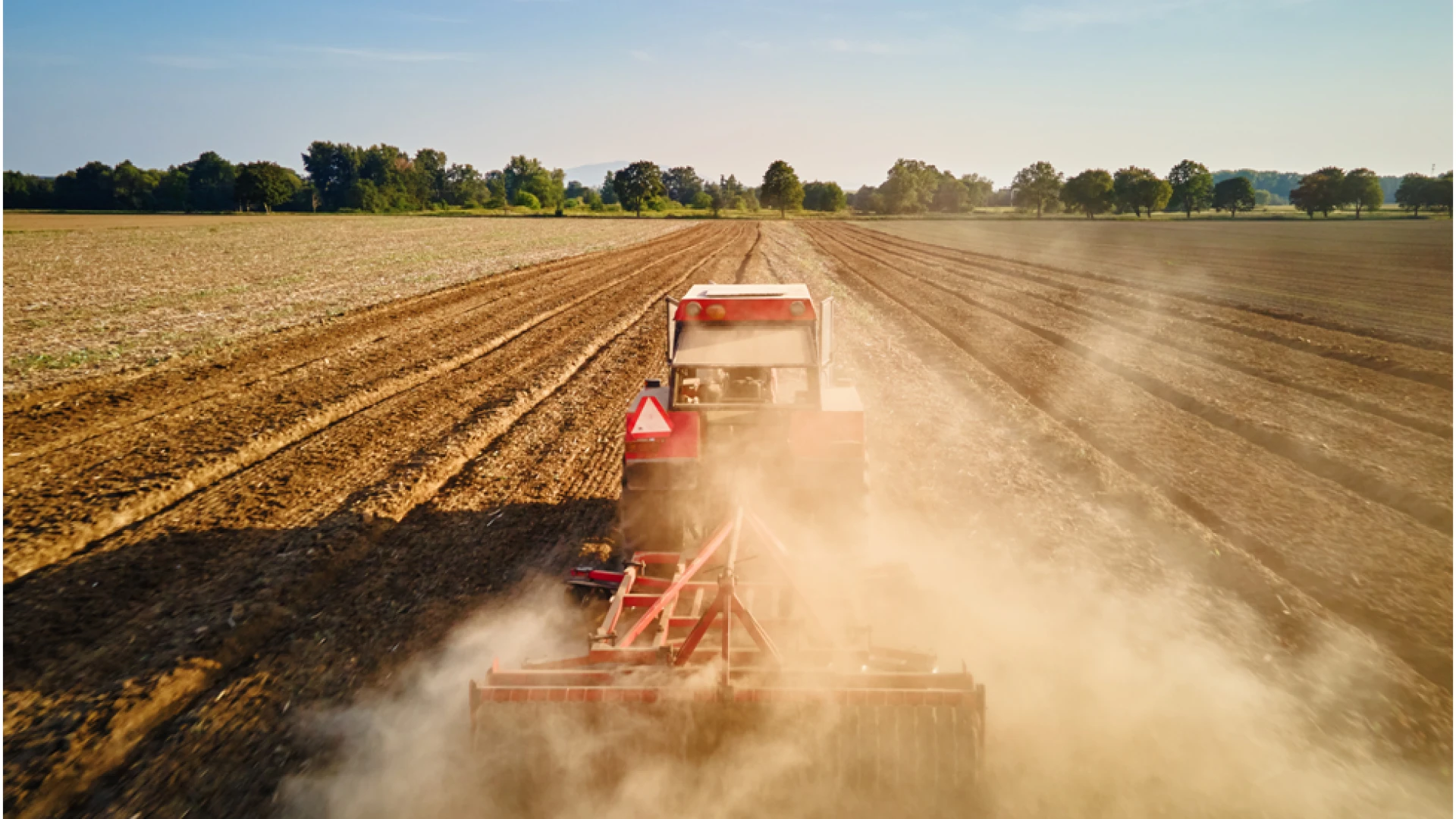 «Лучше воевать в полях, чем в окопах» - как Беларусь готовится к посевной кампании