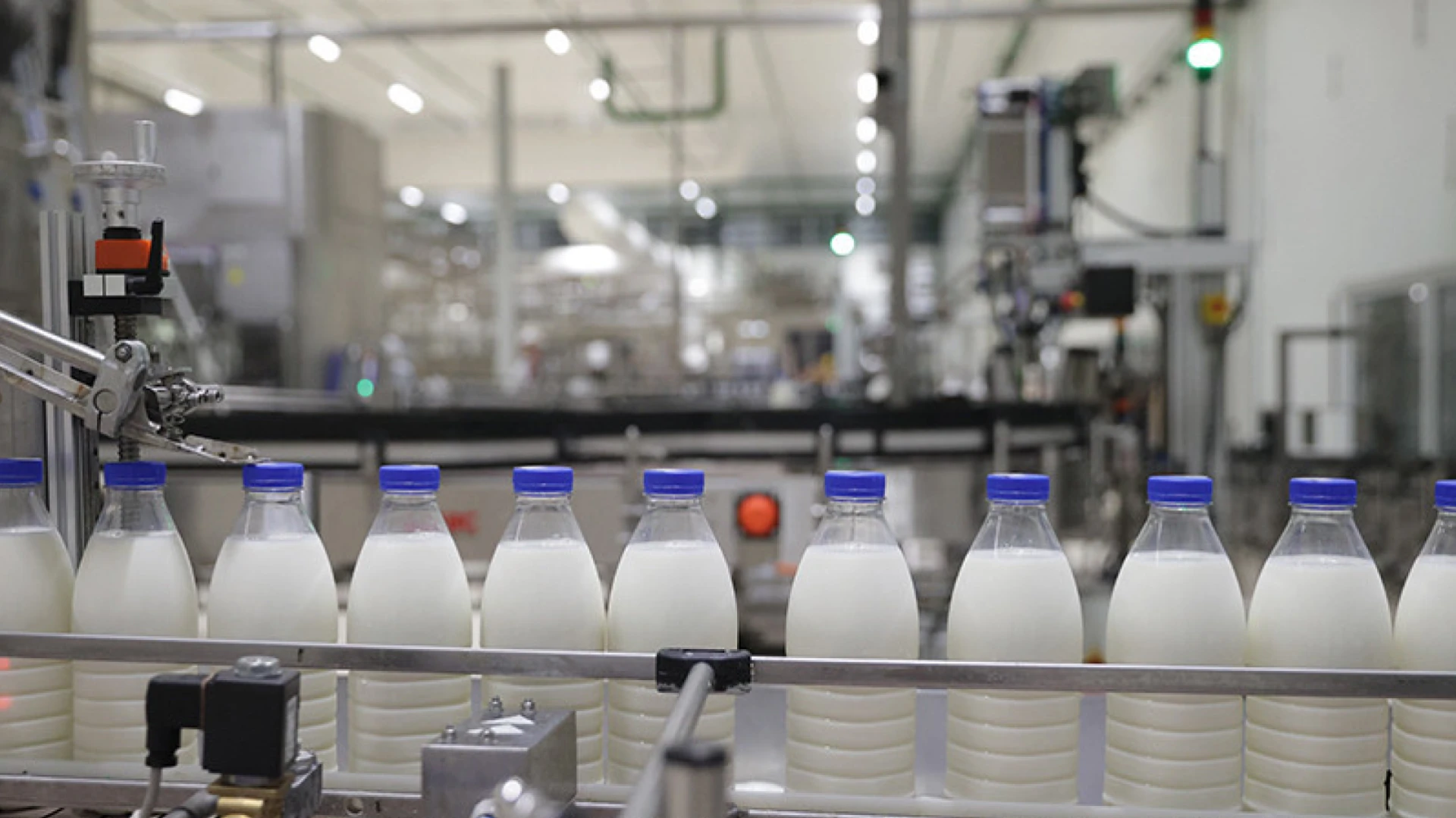 Какие крупные проекты в АПК реализуют в Могилевской области