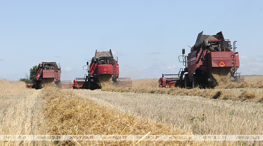 Объем валовой продукции сельского хозяйства по итогам года планируется увеличить на 2-3 %