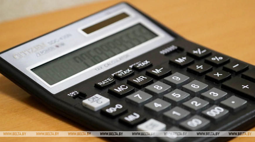 Belarus' economy bounces back to growth