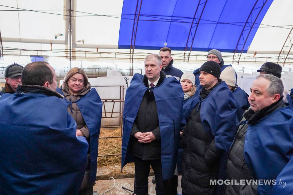 На Могилевщине прошел республиканский семинар-совещание. Узнали, где функционируют профилактории для молодняка КРС из облегченных конструкций