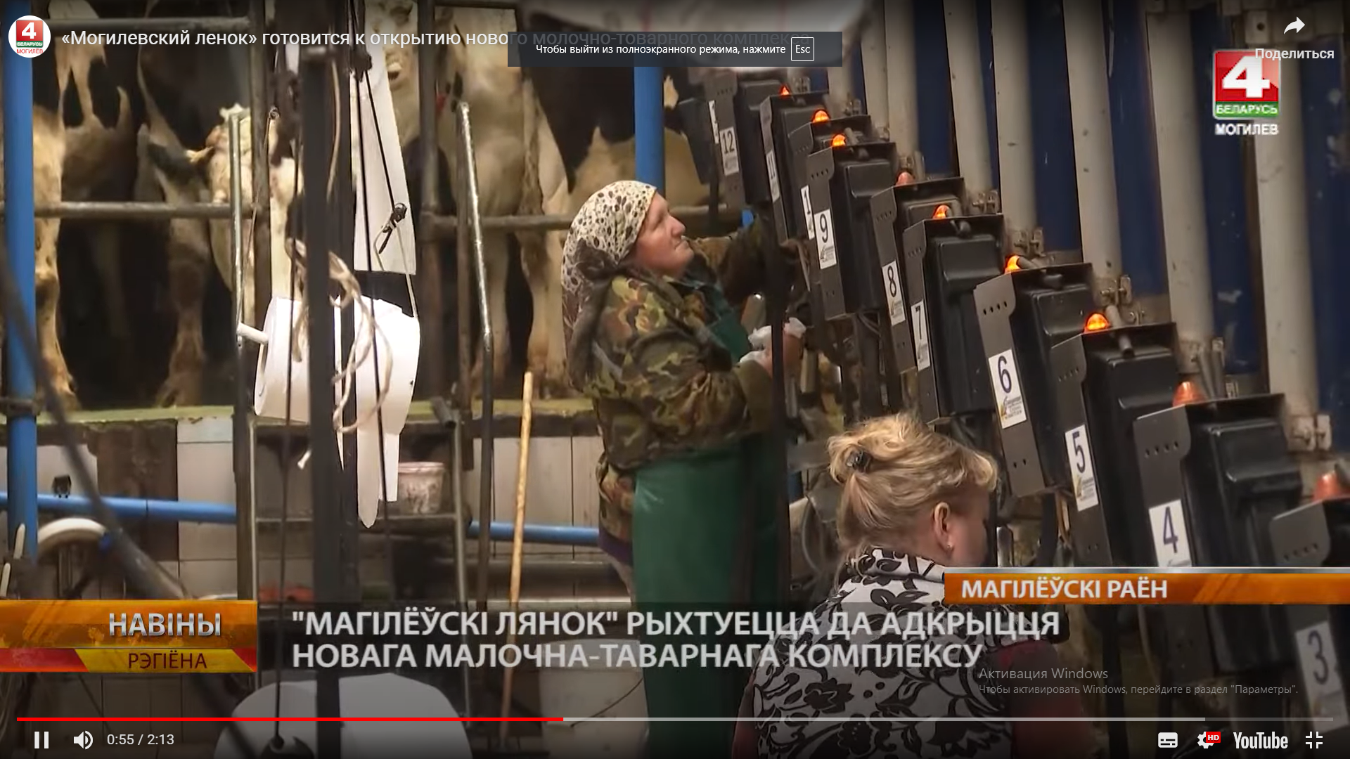 "Могилевский ленок" готовится к открытию нового молочно-товарного комплекса