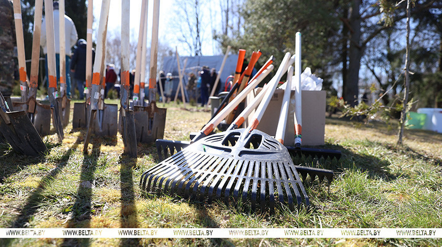 Республиканский субботник пройдет в Беларуси 25 октября