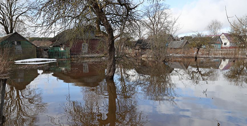 В Могилевской области талые воды подтопили подворья, хозпостройки, мосты и участки дорог