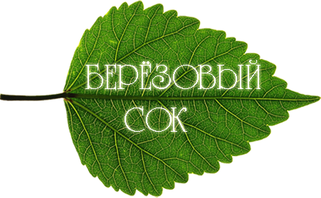 Правила заготовки березового сока