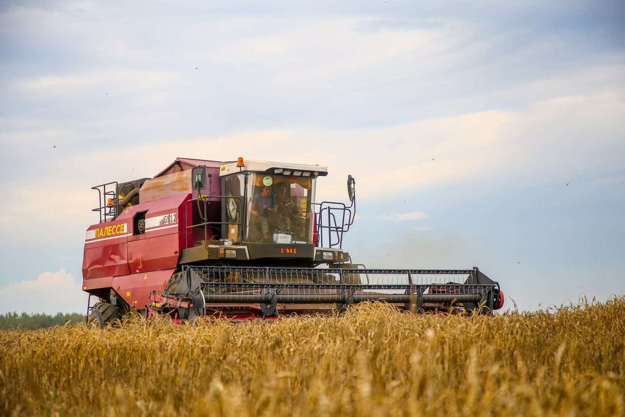Лидеры уборочной страды в Могилевской области