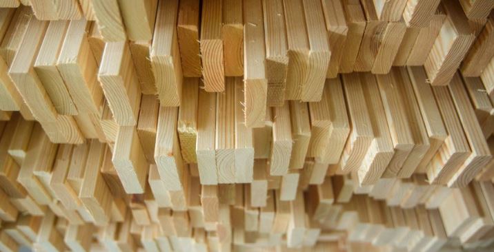 Iran shows interest in Belarusian timber