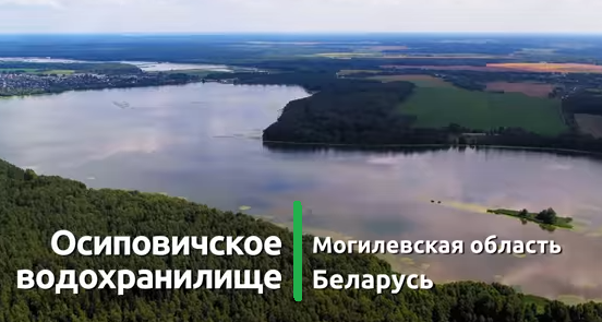 Летнее аэровидео: Осиповичское водохранилище сняли с дрона
