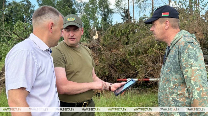 Больш за 1,5 тыс. га лясных насаджэнняў пашкодзіла стыхія ў Магілёўскай вобласці
