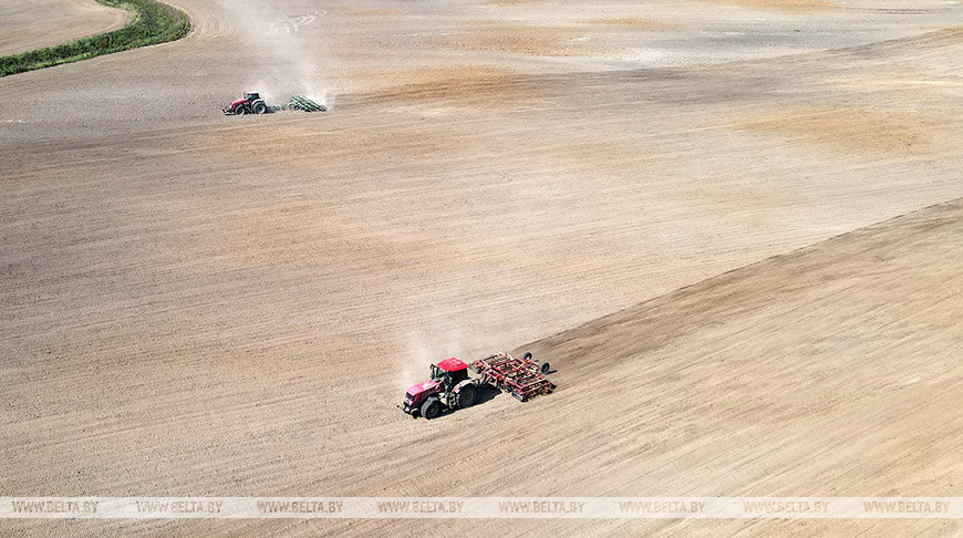 Belarus to increase area under leguminous crops to 240,000ha next year