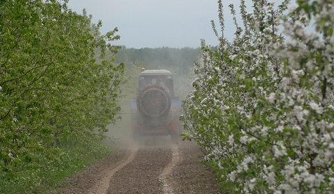 Кіраўскі раён хутка пачне выпускаць бульбу фры
