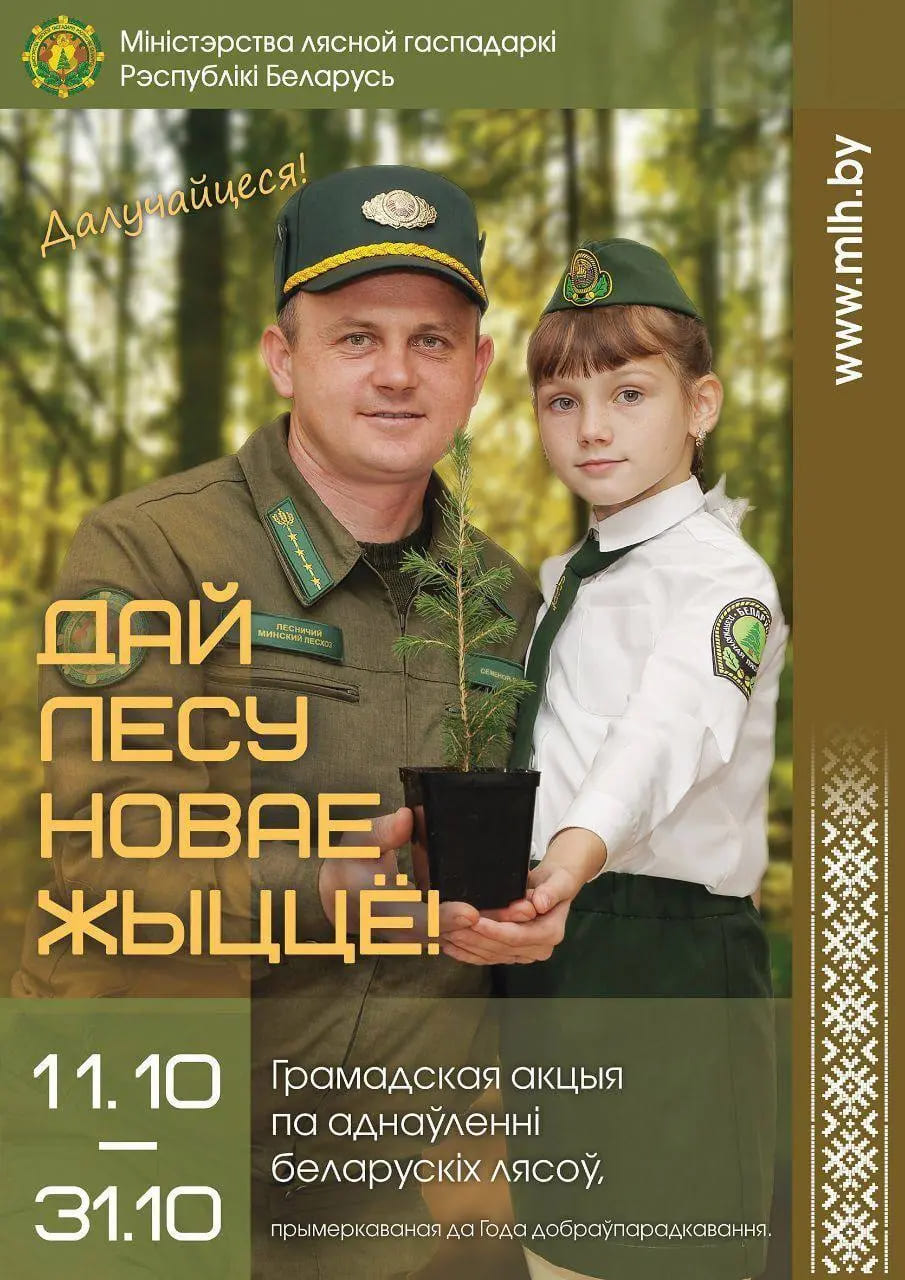 “Дай лесу новае жыццё” — эта добровольная республиканская акция стартовала в субботу