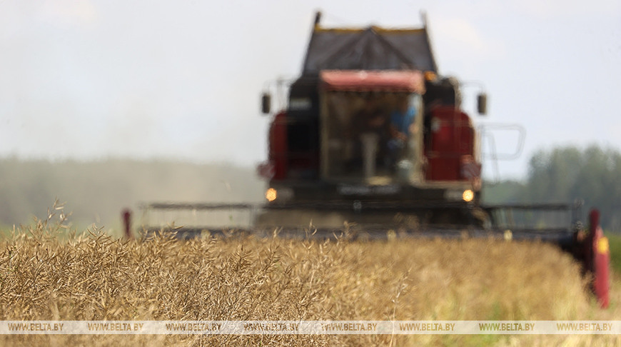 Зводны атрад камбайнаў з Магілёўскай вобласці адправіўся на дапамогу аграрыям Віцебскай вобласці