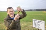 Специалисты аграрной отрасли Могилевской области дискутируют о культуре земледелия