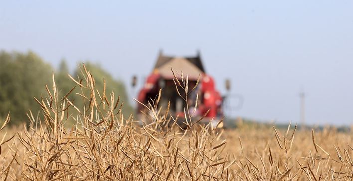 Over 97.5% of area under crops harvested in Belarus