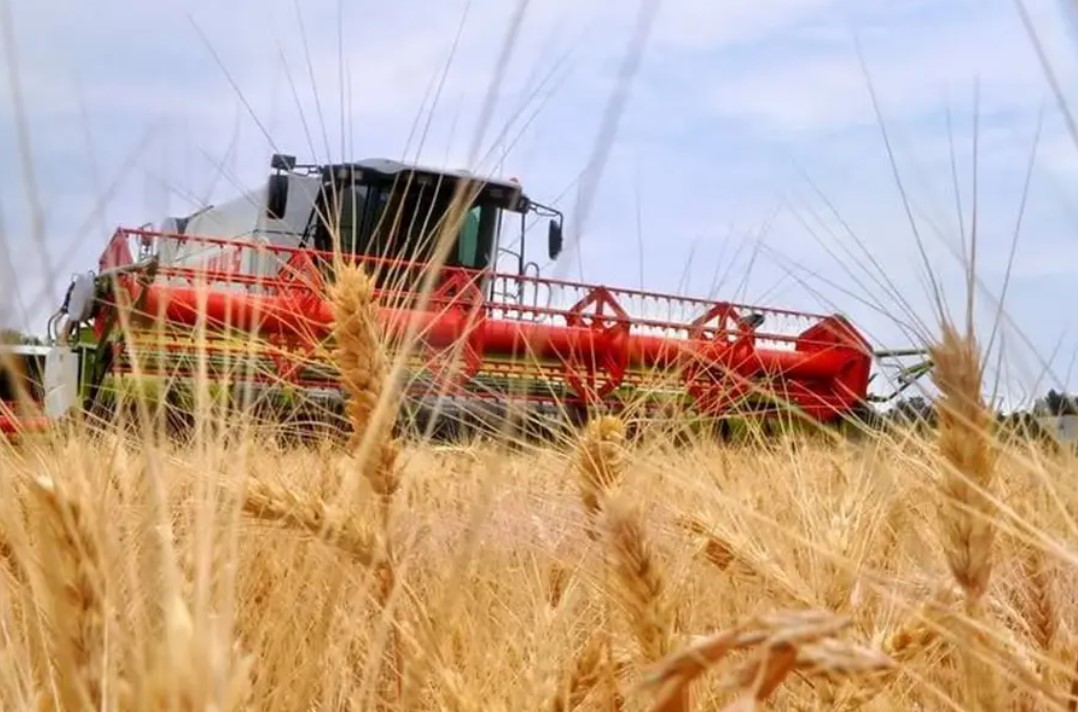 Вынікі раённага спаборніцтва за дасягненне высокіх паказчыкаў на ўборцы ўраджаю збожжавых і зернебабовых раслін