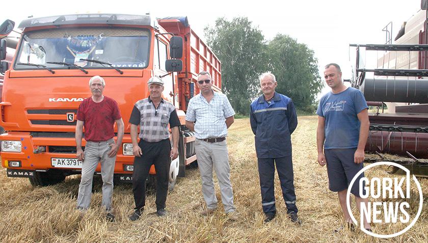 Record-breaking
grain harvest in Koptevskaya Niva, gorki district
