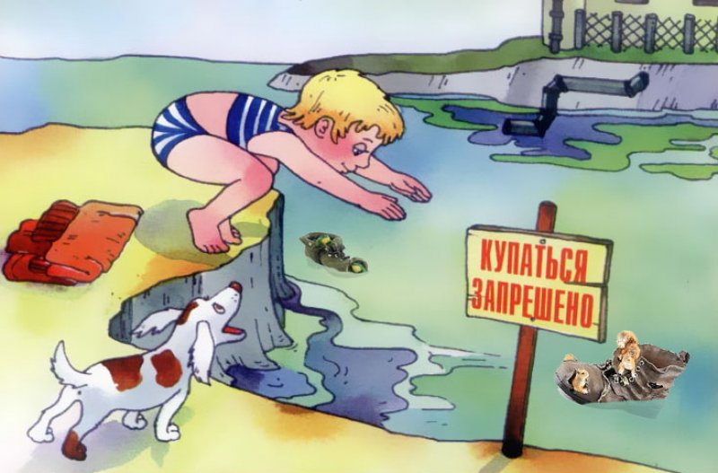 ПРАВИЛА ПОВЕДЕНИЯ НА ВОДОЁМАХ