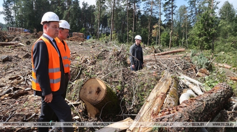 У Магілёўскай вобласці стыхіяй пашкоджана больш за 7,6 тыс. га лясных насаджэнняў