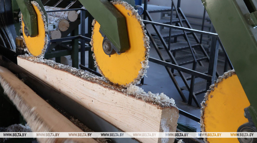 У Беларусі плануецца да 2030 года рэалізаваць 45 ключавых інвестпраектаў у дрэваапрацоўцы 