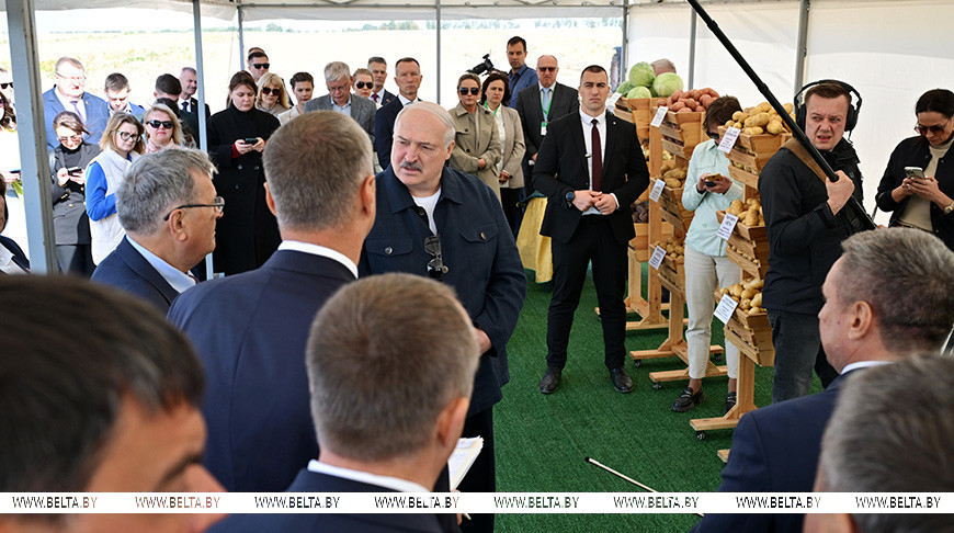 Лукашенко о хранении и реализации картофеля: нужно на полную катушку подключать торговые сети