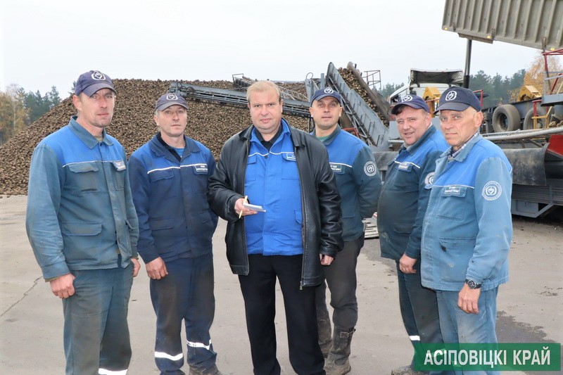 В Осиповичском свеклопункте - сезон заготовки