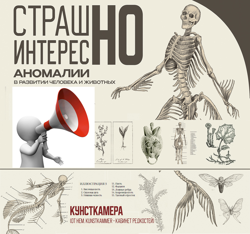 Exhibition of anatomical anomalies to open in Mogilev on July 1