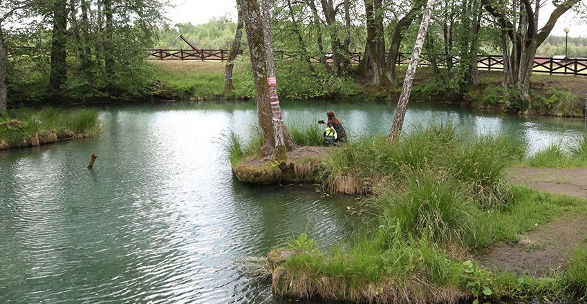 Inclusive eco-trails and new routes. How Slavgorod district develops the tourism sector