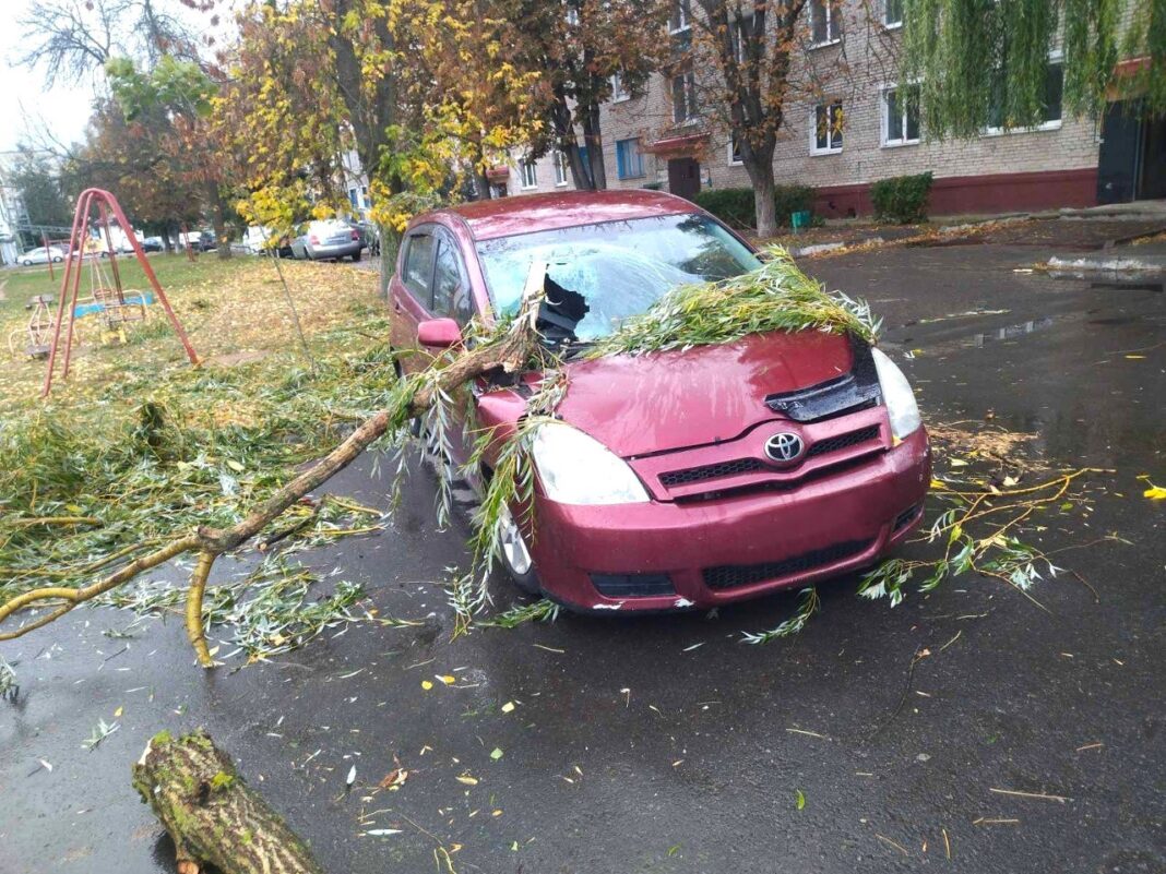 Сложные погодные условия на выходных в Осиповичах привели к отключению электроэнергии в некоторых частях города и 50 сельских населенных пунктах района