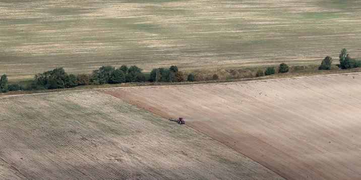 Spring sowing campaign in Belarus progresses past 13.5%