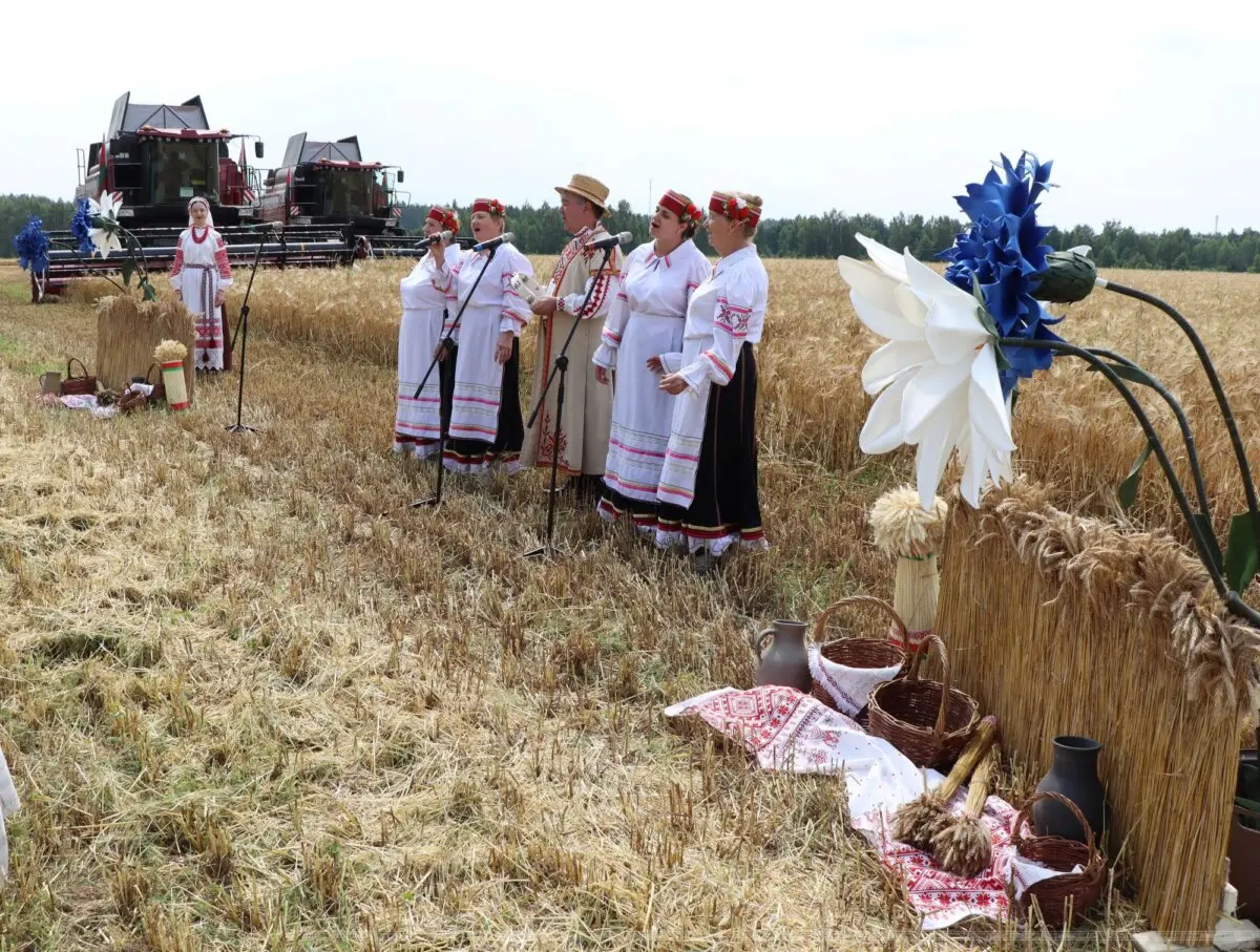 У Асіповіцкім раёне прайшлі “Зажынкі”