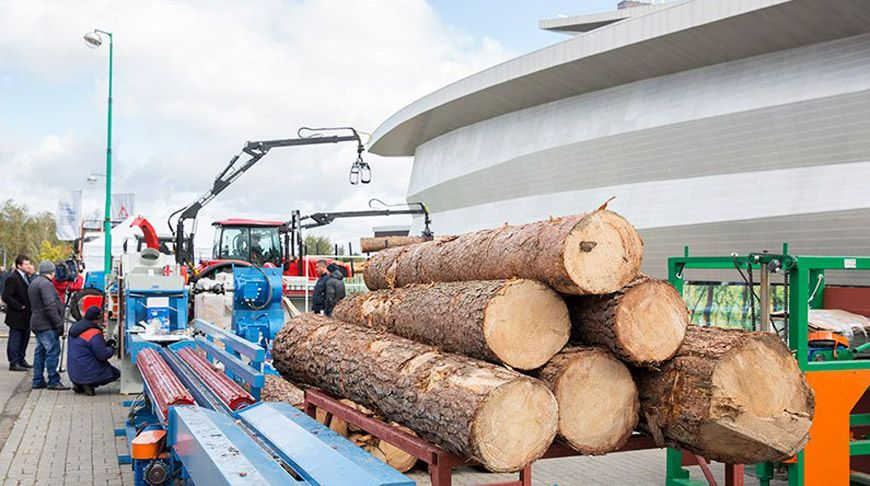 В Минске пройдет выставка "ДЕРЕВООБРАБОТКА-2025"