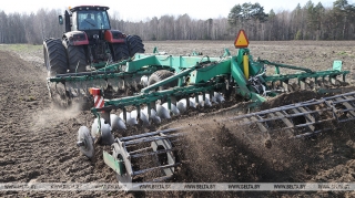 Раннія яравыя ў Беларусі пасеяны на больш як 43 тыс. га