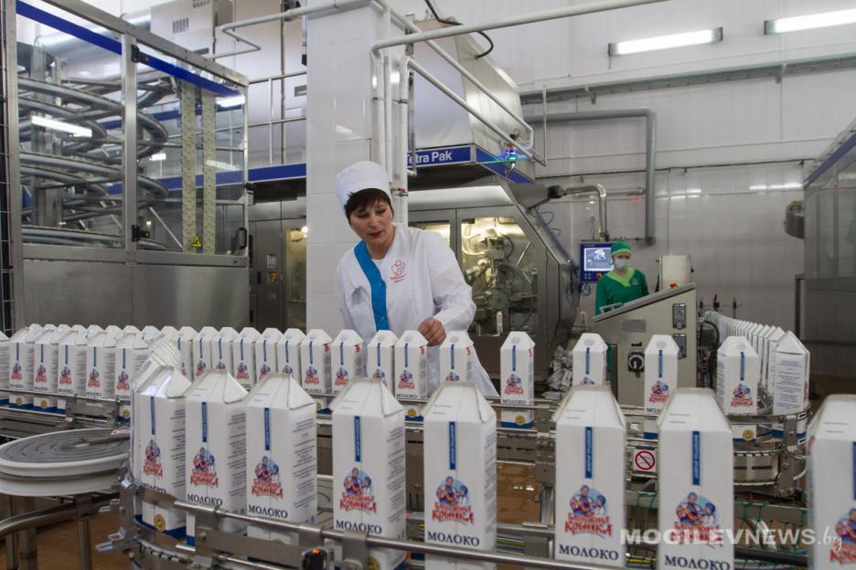 Рост производства молока обеспечили 74 организации Могилевщины