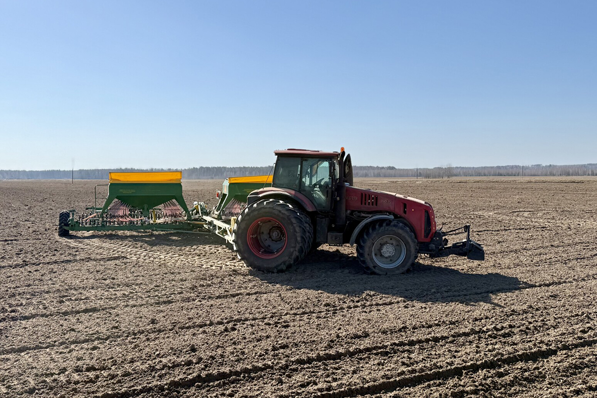 Могилевщина точечно включается в сев