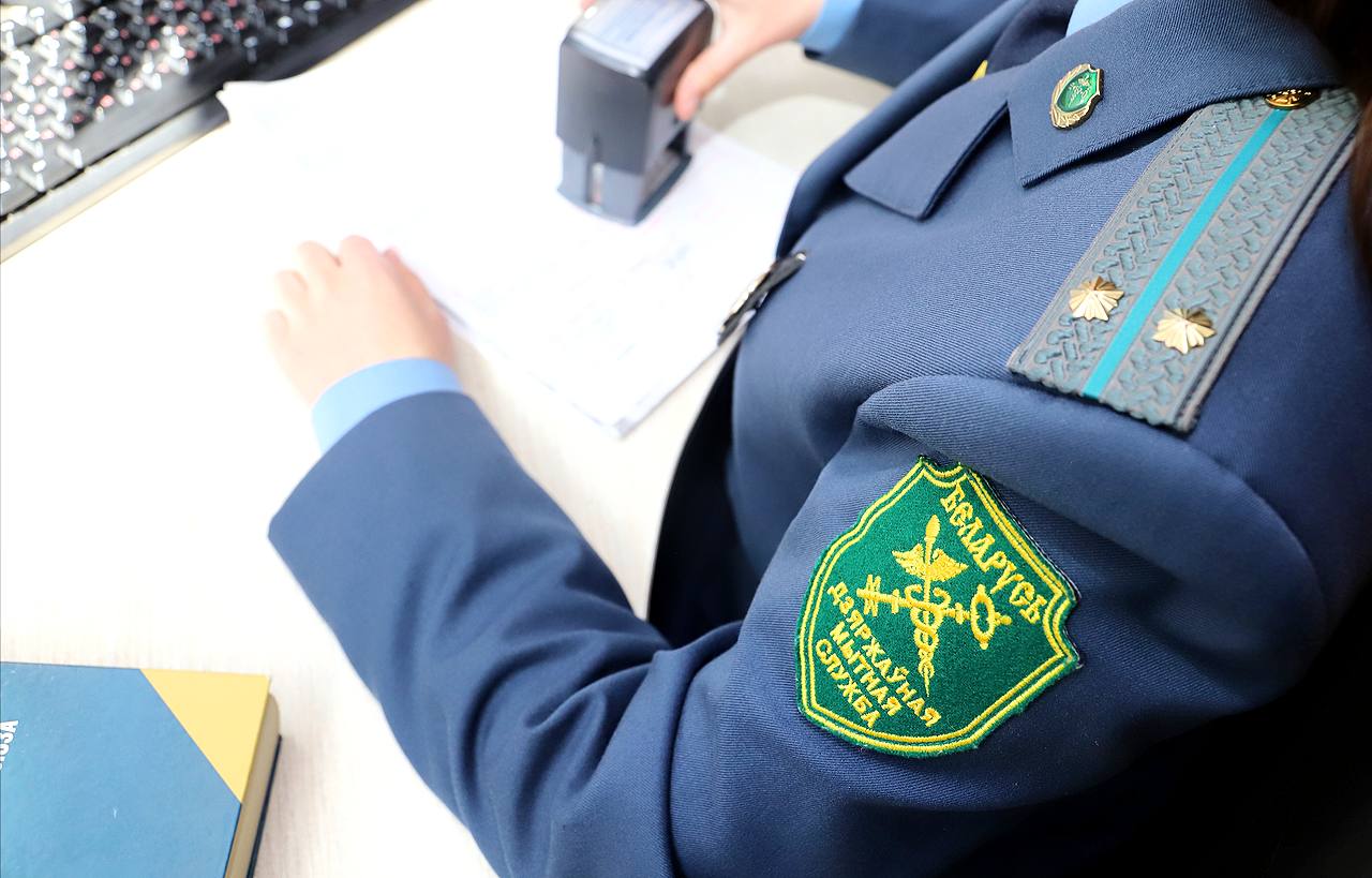 Развитие института уполномоченных экономических операторов, как способ повышения эффективности ведения бизнеса