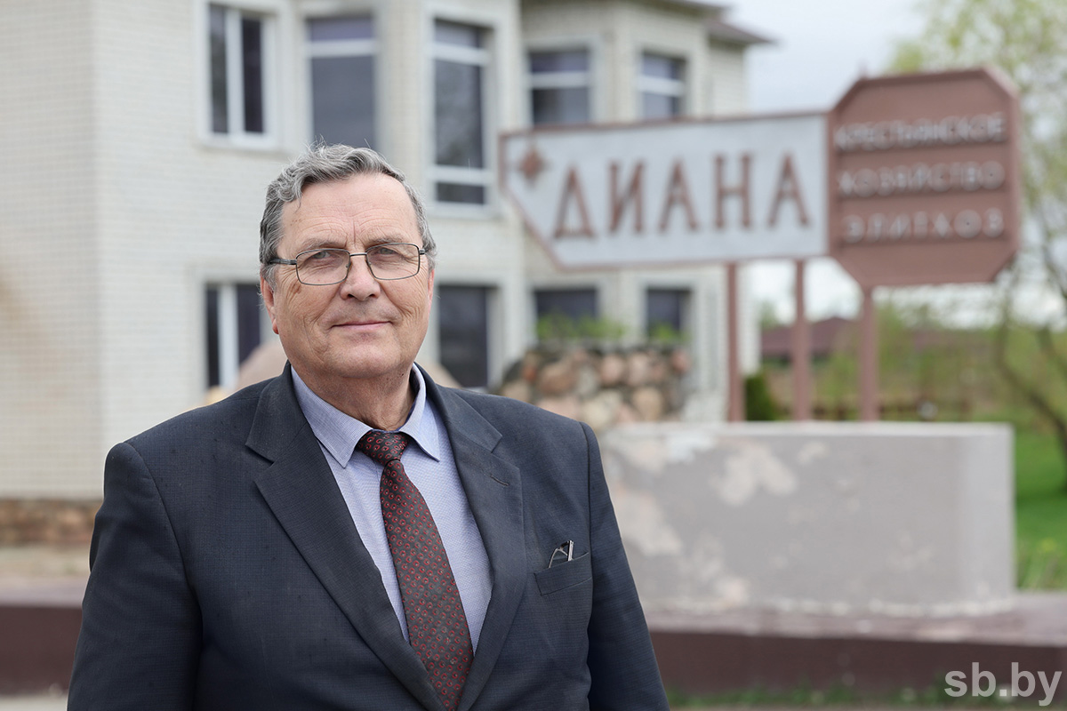 In the farm "Diana"of the Shklovsky district, the most modern technologies are used in growing
potatoes