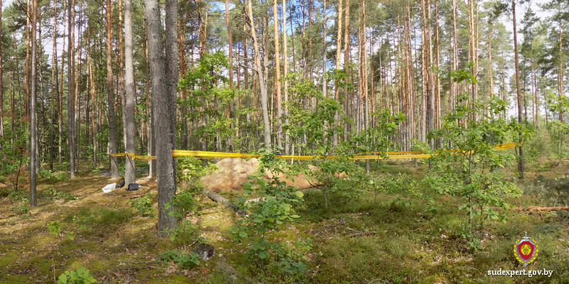 В Кличевском районе в захоронении времен
войны обнаружены останки не менее семнадцати мирных граждан