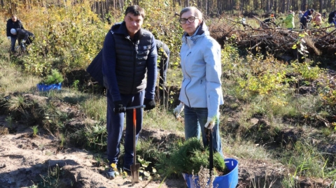 Супрацоўнікі МПЗ дапамаглі высадзіць лес у Асіповіцкім раёне