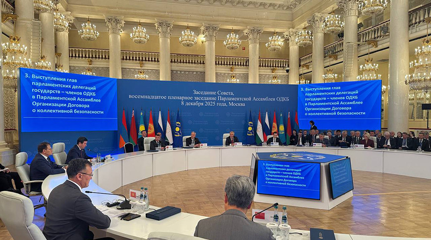 ИИ, кибер- и биобезопасность. Глава делегации Беларуси о планах ПА ОДКБ по модельному законодательству 