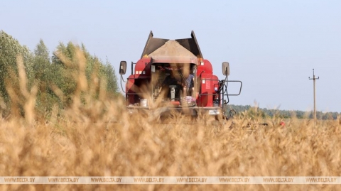 У фокусе ўвагі пракуратуры Магілёўскай вобласці - гатоўнасць АПК да ўборачнай і сяўбы азімых