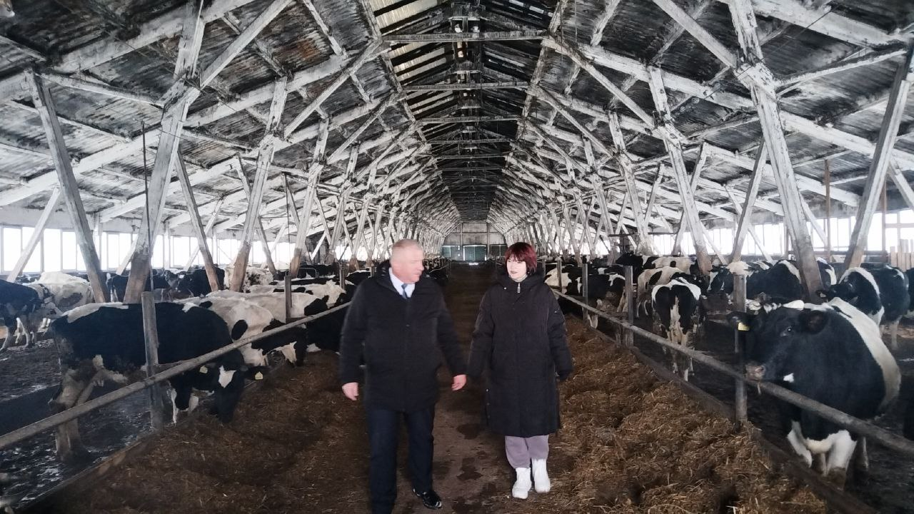 Работа продолжается. Парламентарий Олег Дьяченко посетил ферму и магазин в Протасевичах