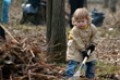 Районный субботник пройдет 24 октября