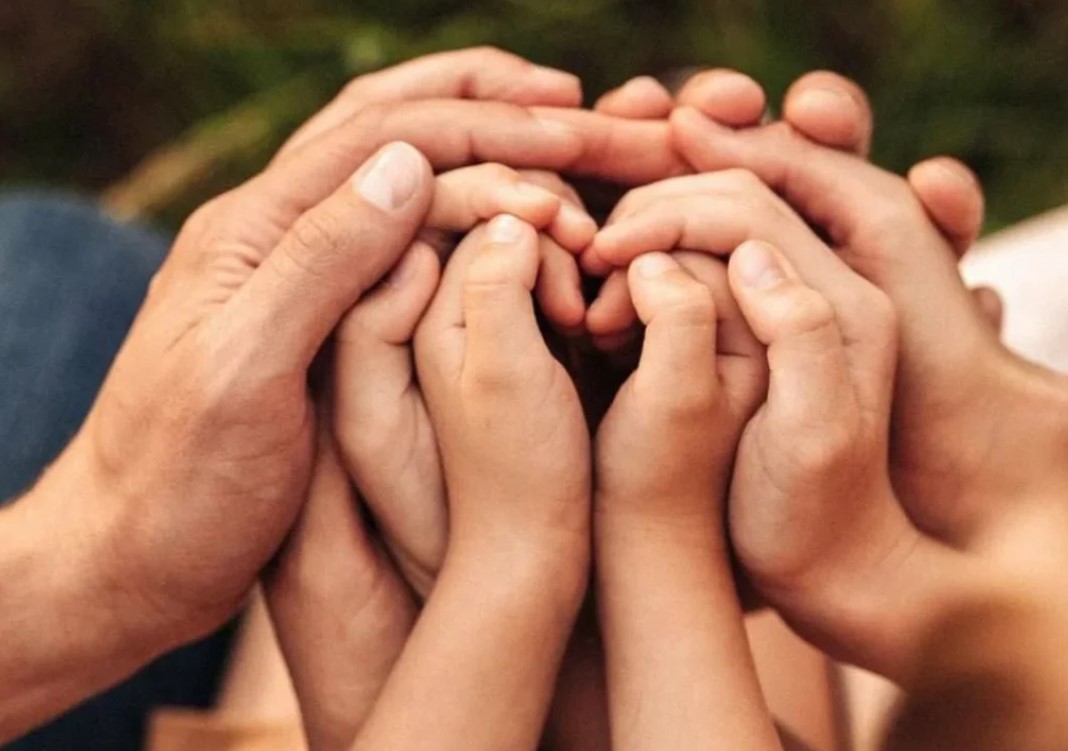 Социальная поддержка и материнство в Осиповичском районе: награды, помощь и 169 новорожденных