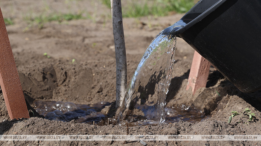 Вялікія гарадскія суботнікі пройдуць у Магілёве 18 кастрычніка і 1 лістапада