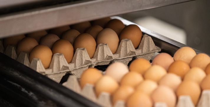 Belarus' companies might contribute to ensuring Qatar's food security