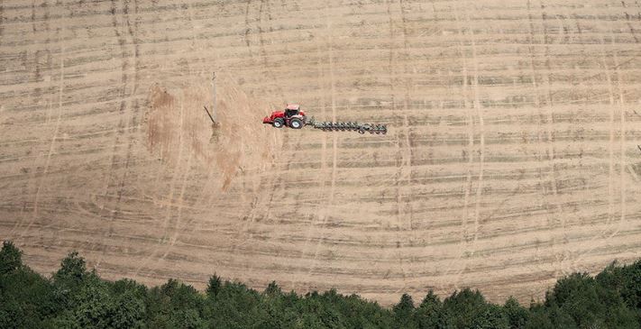 Planting of winter rapeseed for grain on home stretch in Belarus
