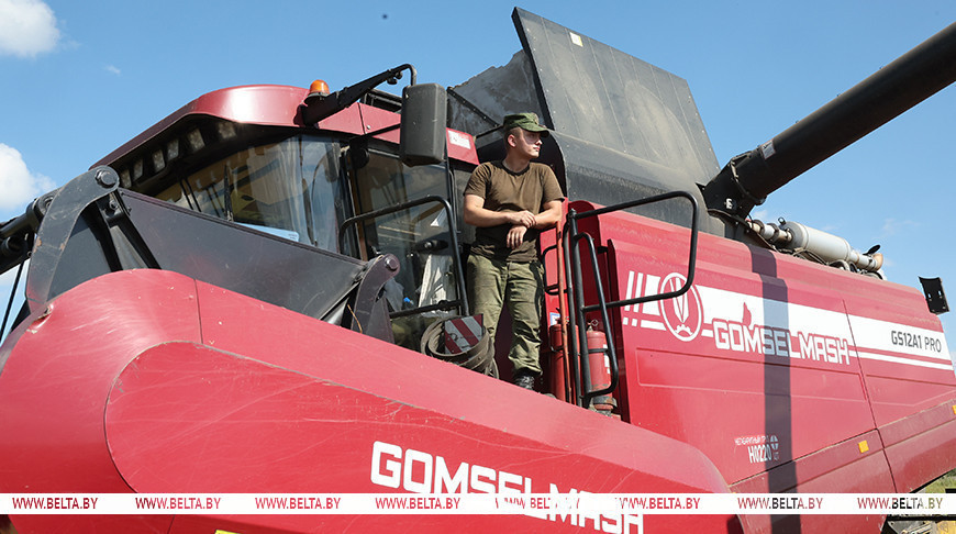 "Заўсёды гатовы падставіць плячо". Ваеннаслужачыя дапамагаюць убіраць ураджай у Мсціслаўскім раёне